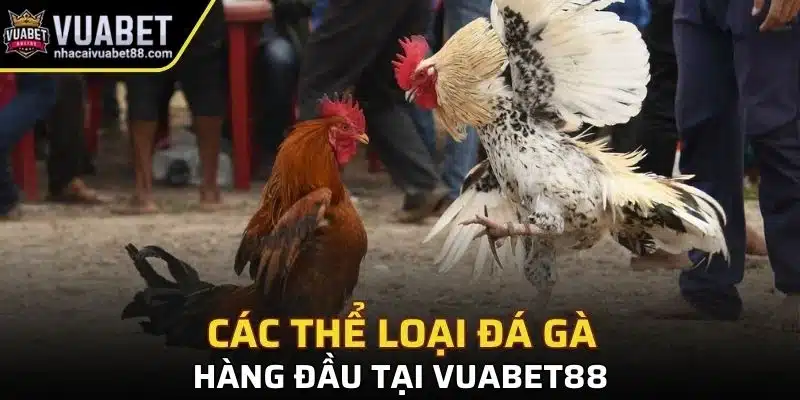 Các thể loại đá gà hàng đầu tại Vuabet88